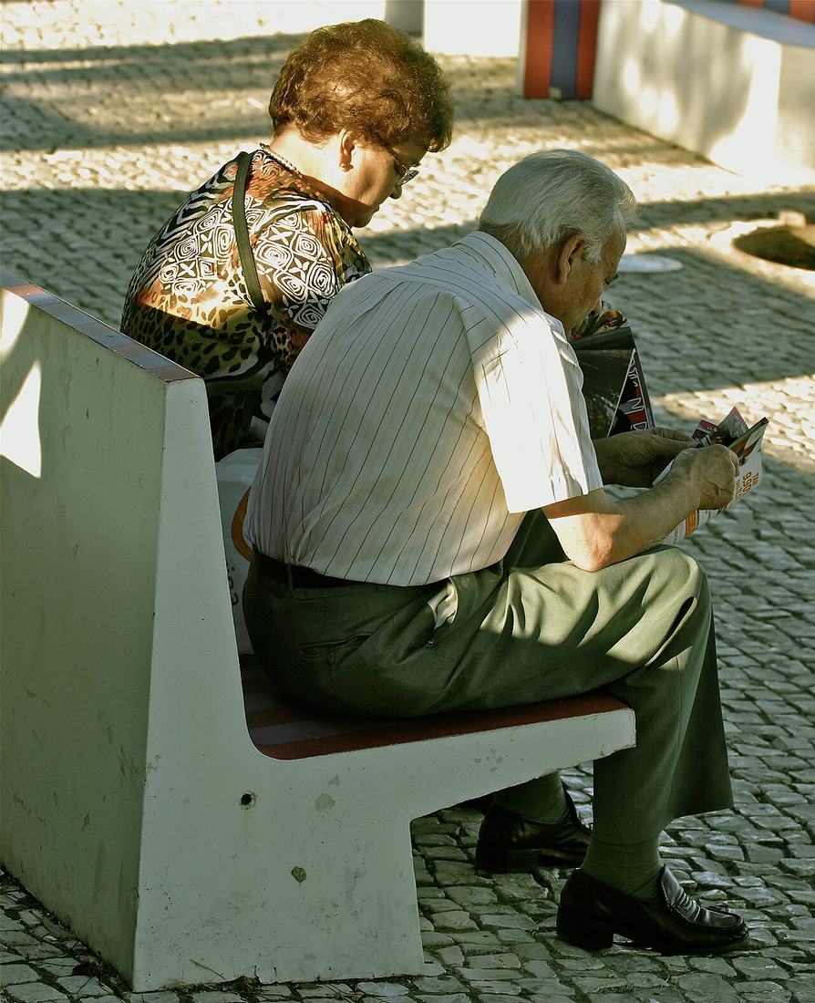Elderly couple reading together on a park bench
