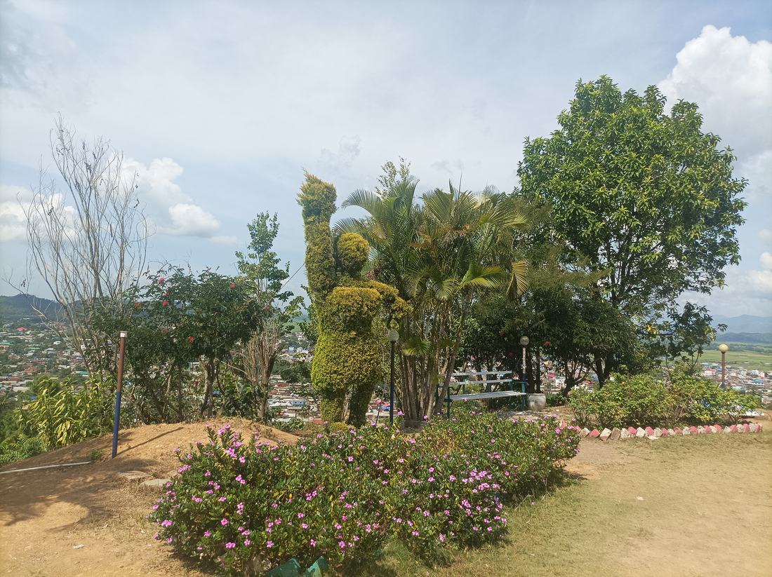 Topiary garden with shaped bushes